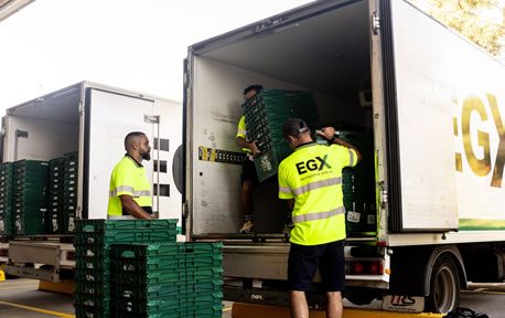 Temperature-Controlled Expertise - EGX Logistics